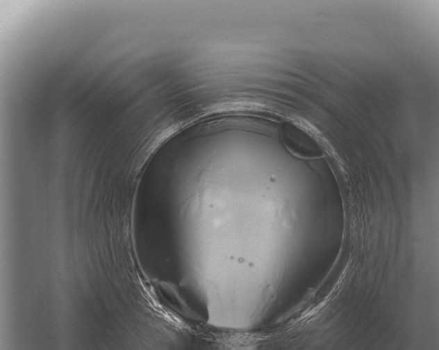 X0000059840945200510281821