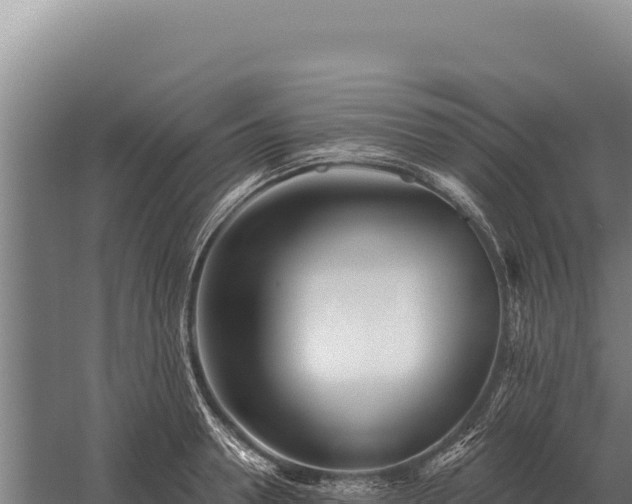 X0000059840946200510281821