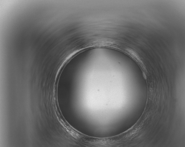 X0000059840948200510281821