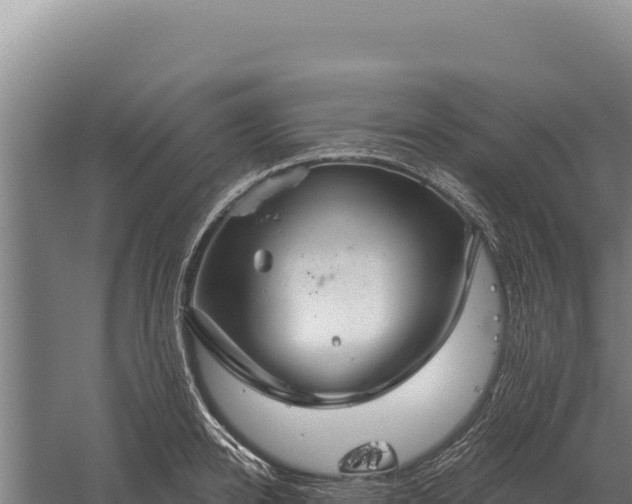 X0000059840950200510281821