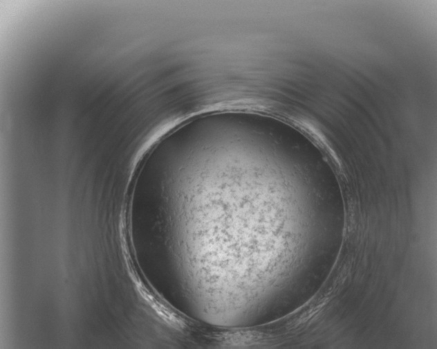 X0000059840952200510281821