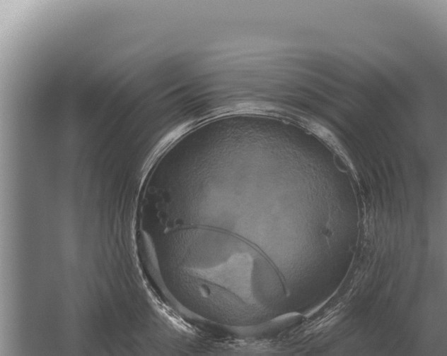 X0000059840954200510281821