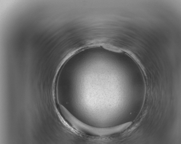 X0000059840957200510281821