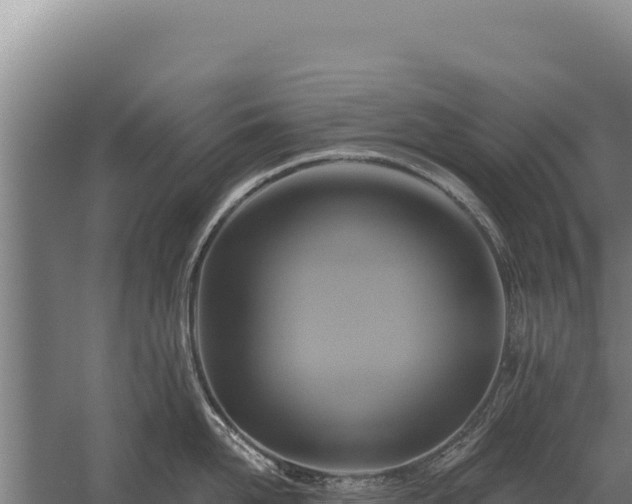 X0000059840958200510281821