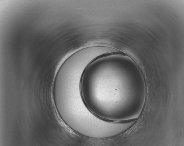 X0000059840960200510281821