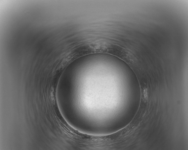 X0000059840963200510281820