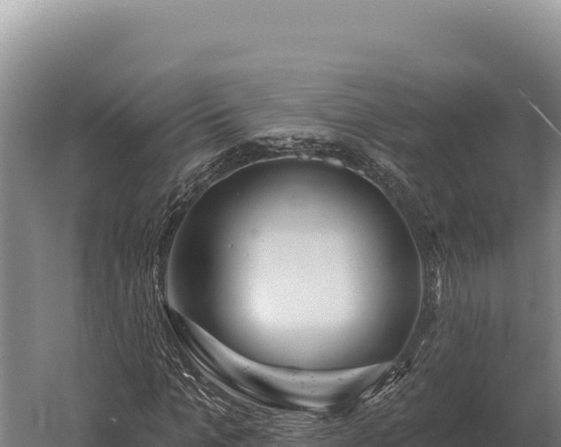 X0000059840965200510281820