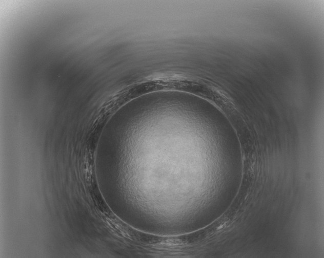 X0000059840966200510281820