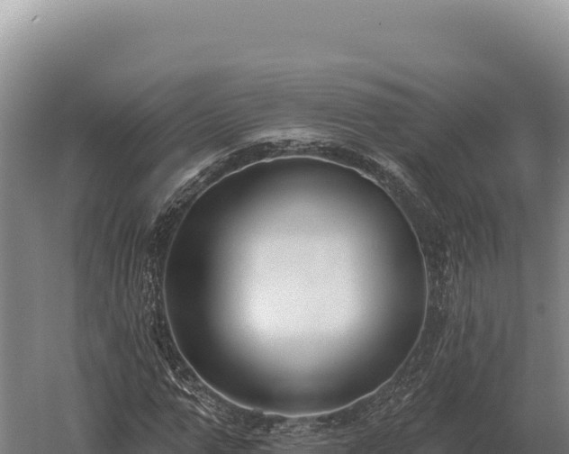 X0000059840967200510281820