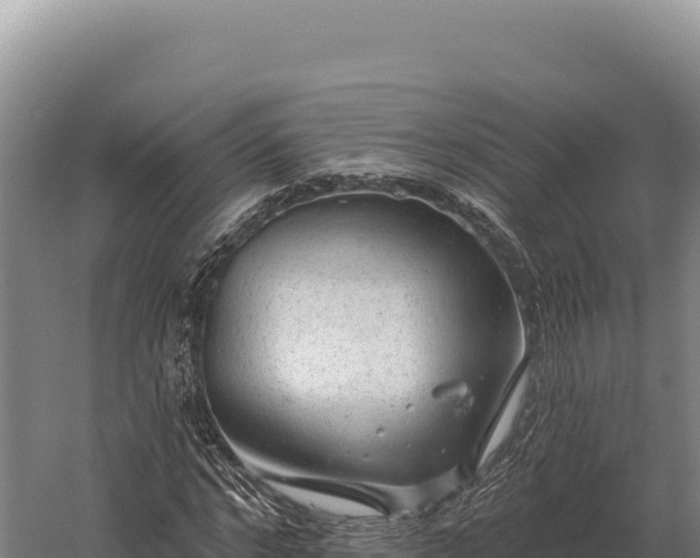 X0000059840968200510281820