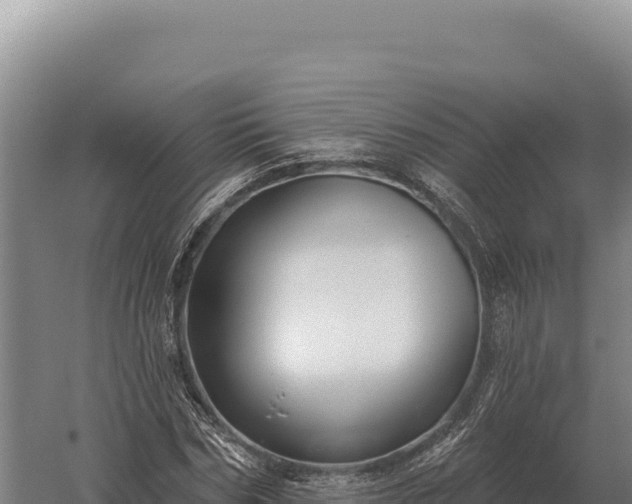 X0000059840970200510281820