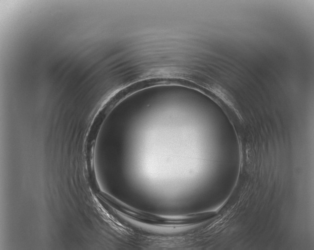 X0000059840972200510281820