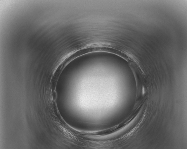 X0000059840973200510281820