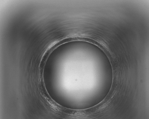 X0000059840974200510281820