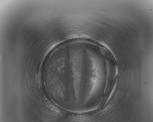 X0000059840975200510281820