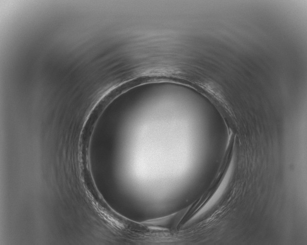 X0000059840976200510281820