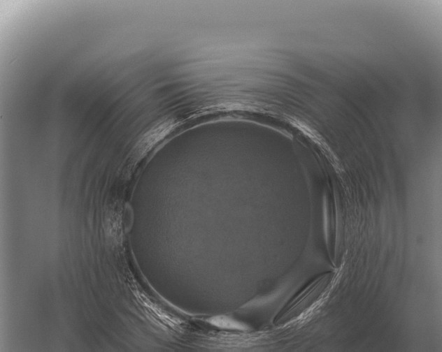 X0000059840977200510281820