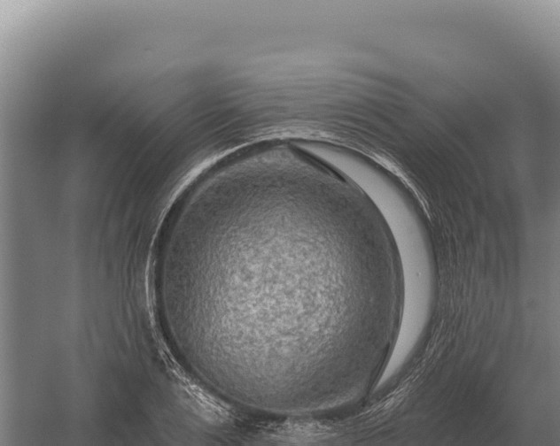 X0000059840983200510281820