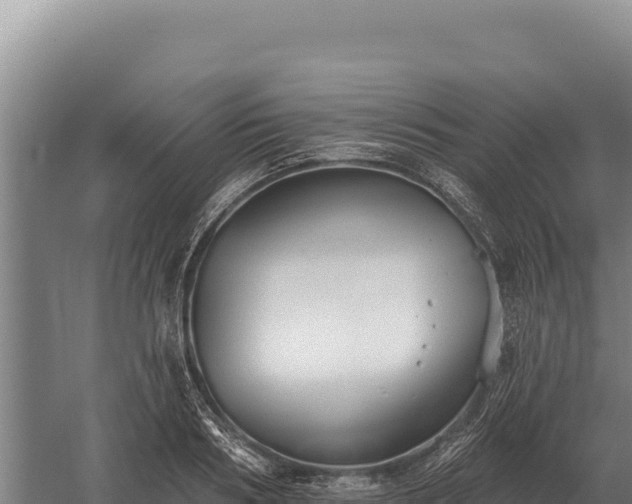 X0000059840986200510281820