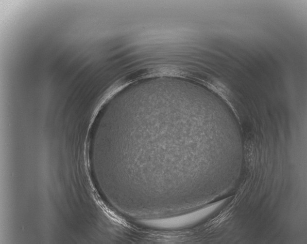 X0000059840987200510281820