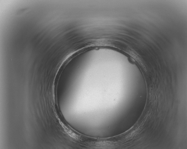 X0000059840988200510281820