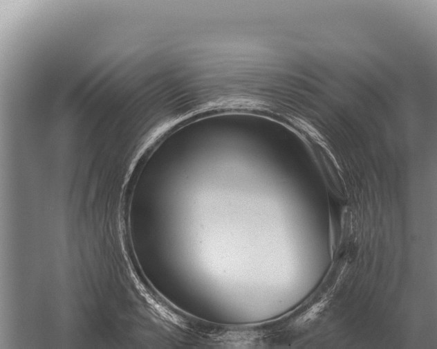 X0000059840989200510281820