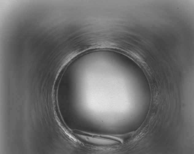 X0000059840990200510281820