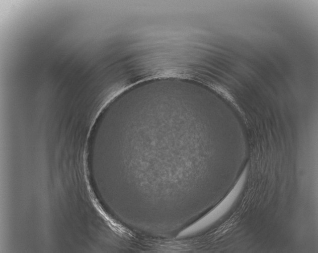 X0000059840991200510281819