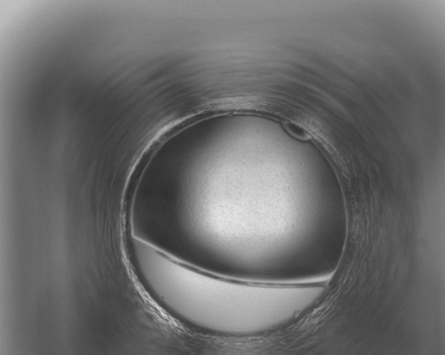 X0000059840992200510281819