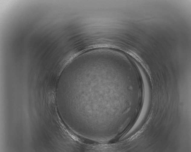 X0000059840993200510281819