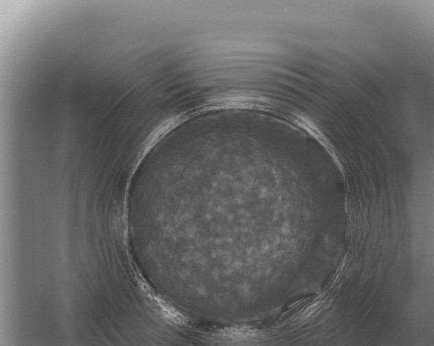 X0000059840994200510281819