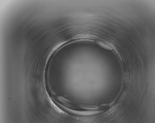 X0000059840995200510281819