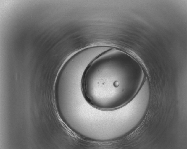 X0000059840996200510281819