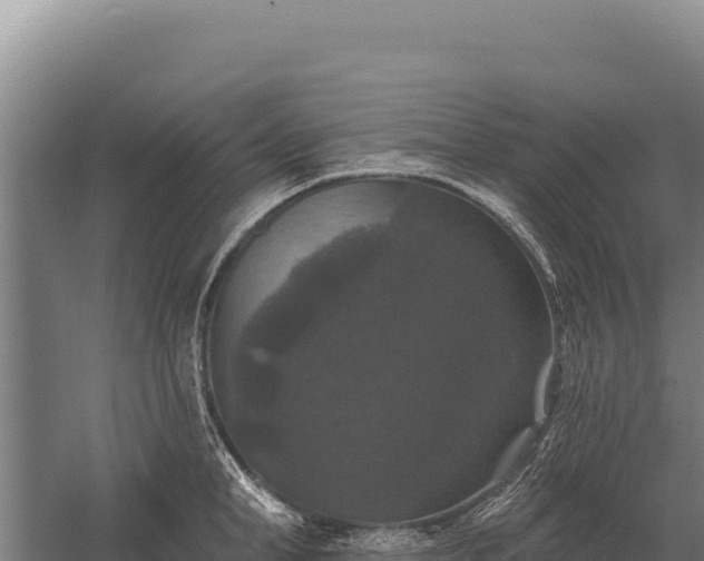 X0000059840998200510281819