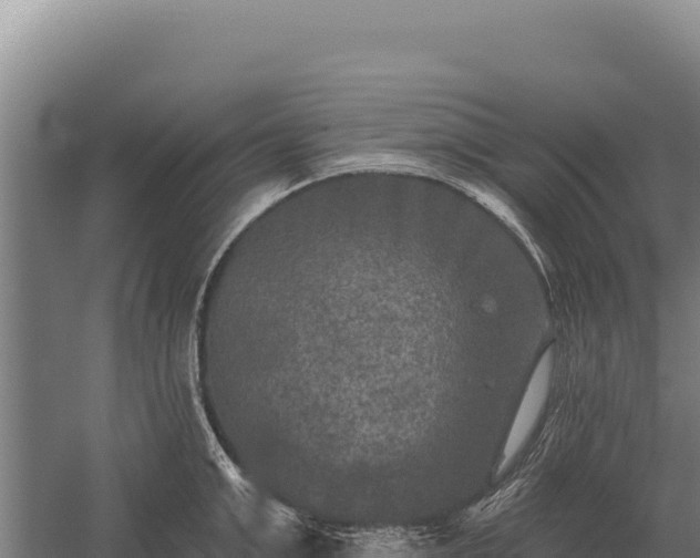 X0000059840999200510281819