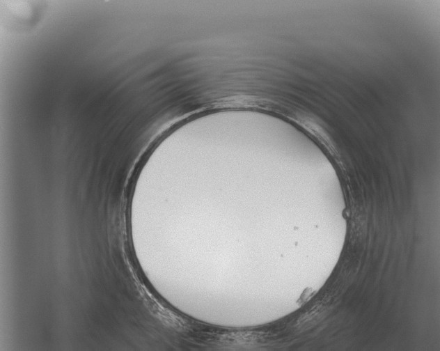 X0000059841000200510281819