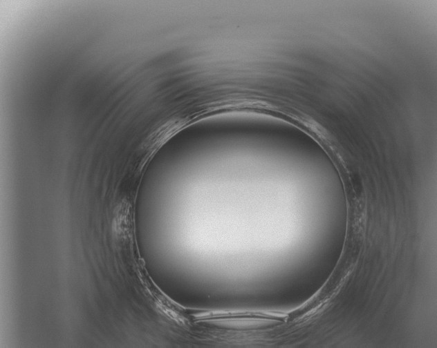 X0000059841001200510281819