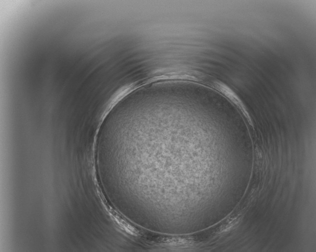 X0000059841002200510281819