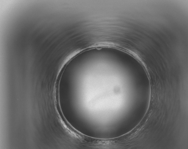 X0000059841003200510281819