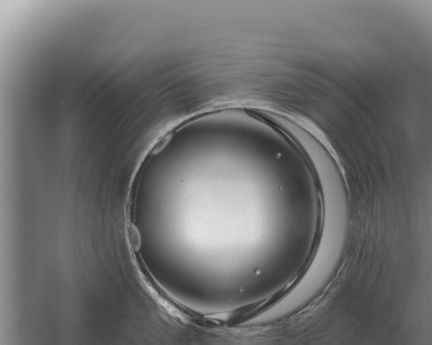 X0000059841005200510281819