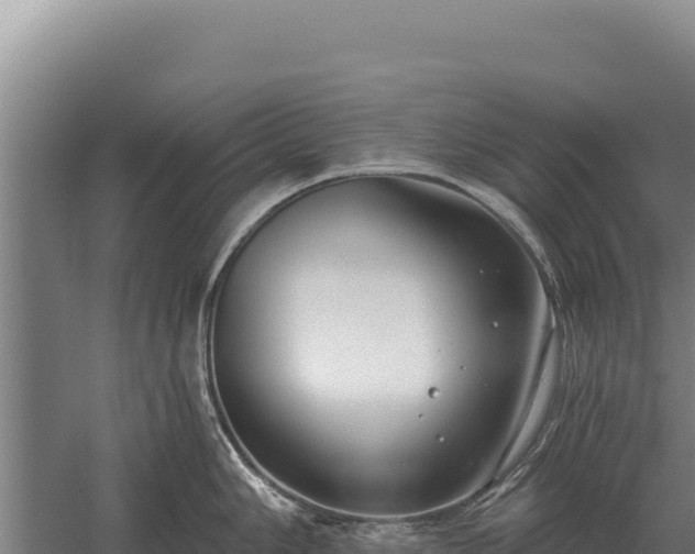 X0000059841006200510281819