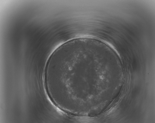 X0000059841007200510281819