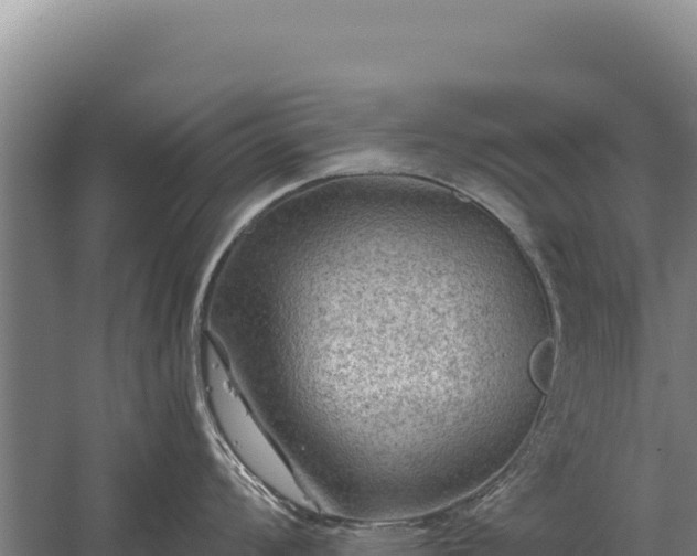 X0000059841008200510281819