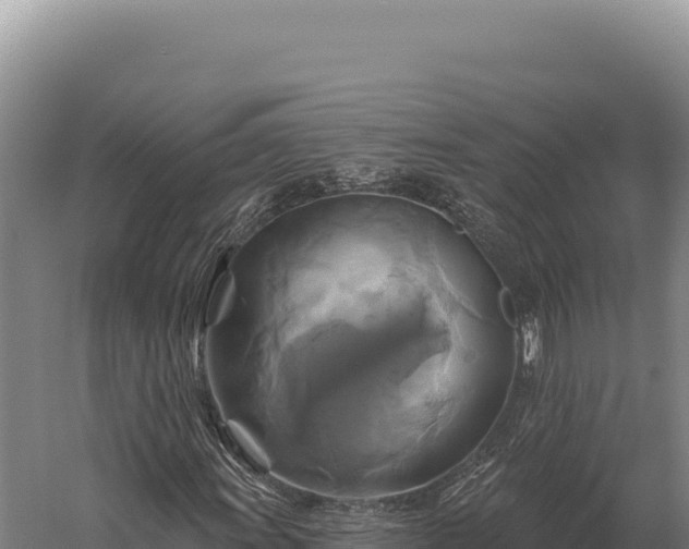 X0000059841011200510281818