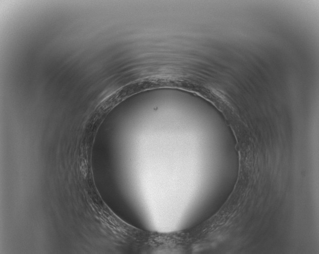 X0000059841015200510281818