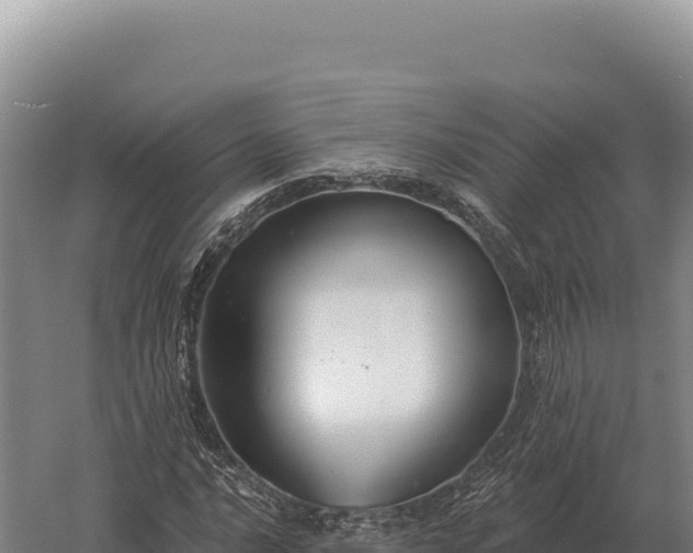 X0000059841016200510281819