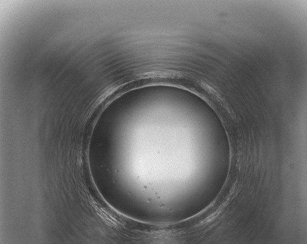 X0000059841017200510281819