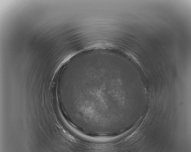 X0000059841018200510281819