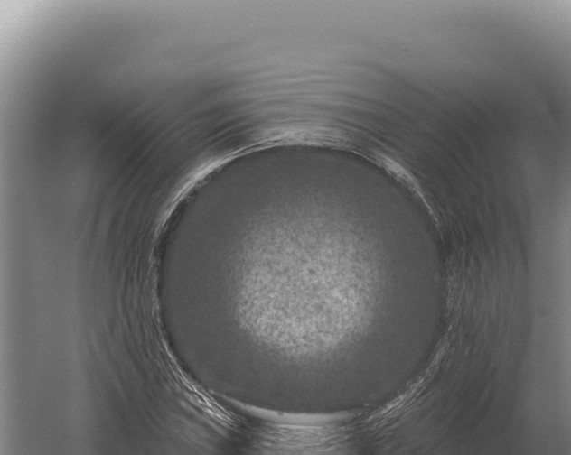 X0000059841019200510281819