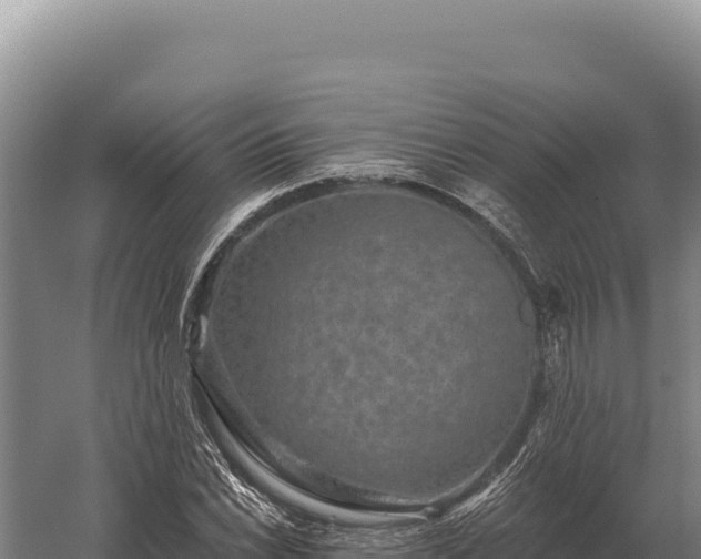 X0000059841022200510281819